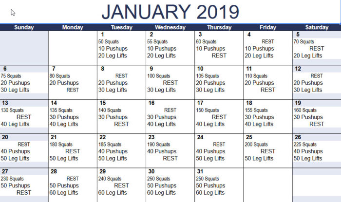 January 2019 New Year Challenge • Fitness Adventure